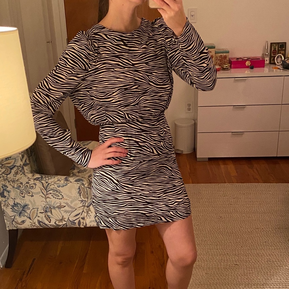 Zebra Dress